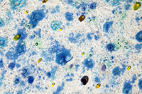 Vetrofusione