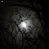 luna piena