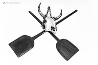 Pirati